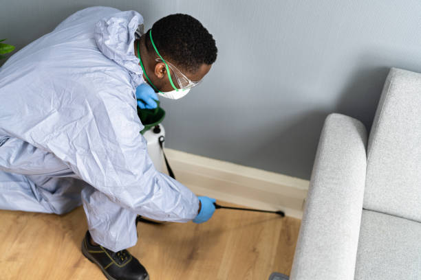 Real Estate Pest Inspections in Keokuk, IA